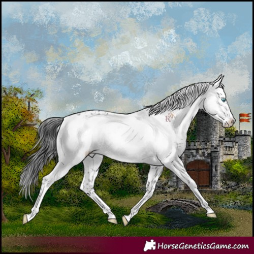 Horse Color:Black Frame 