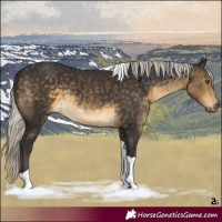Horse Color:Silver Buckskin Tobiano Rabicano 