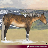 Horse Color:Silver Buckskin Tobiano Rabicano 