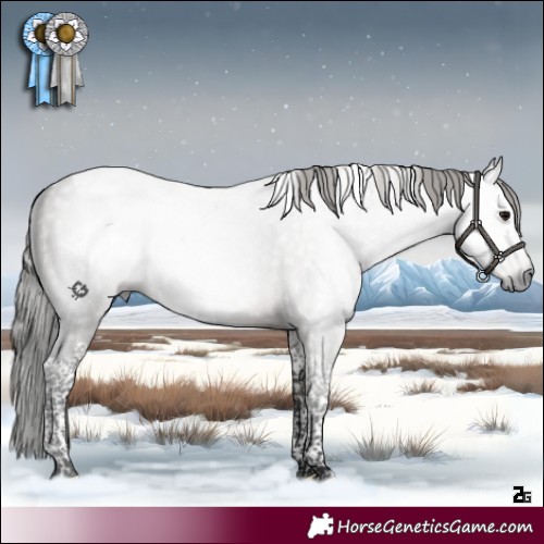 Horse Color:Gray Platinum Silver Smoky Grullo Tobiano 