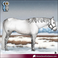Horse Color:Gray Platinum Silver Smoky Grullo Tobiano