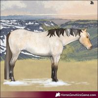 Horse Color:White Spotted Buckskin Roan Dun 