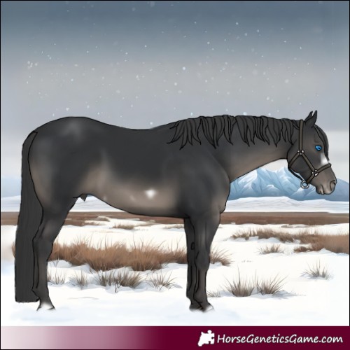 Horse Color:Black Frame 