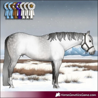 Horse Color:Gray Grullo Sabino Tobiano Brindle 