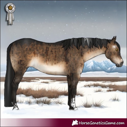 Horse Color:Gray Brown Dun Sabino Brindle 