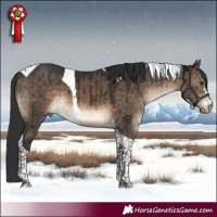 Horse Color:Brown Dun Sabino Tobiano Brindle 