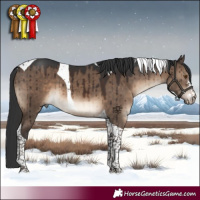 Horse Color:Brown Dun Sabino Tobiano Brindle 