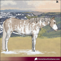 Horse Color:Silver Smoky Grullo Sabino Rabicano 
