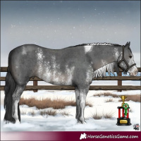 Horse Color:Black Sabino Tobiano