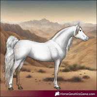 Horse Color:Gray Chocolate Palomino Sabino Tobiano