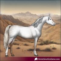 Horse Color:Gray Chocolate Palomino Sabino Tobiano 