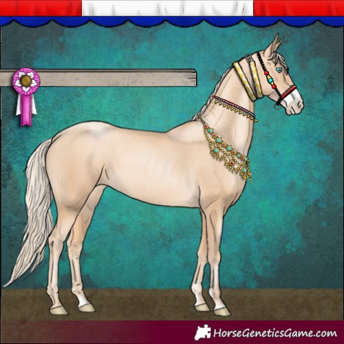 Horse Color:Gold Cream Champagne Pearl Sabino Rabicano 