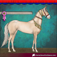 Horse Color:Gold Cream Champagne Pearl Sabino Rabicano