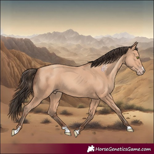 Horse Color:Amber Champagne 