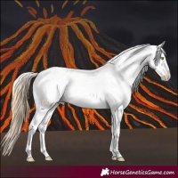Horse Color:White Spotted Gold Champagne Varnish