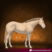 Horse Color:Gold Champagne Rabicano