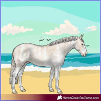 Horse Color:Chocolate Palomino Pearl Dun Sabino 