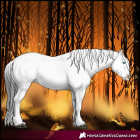 Horse Color:Liver Red Roan Frame