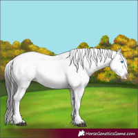 Horse Color:Liver Red Roan Frame 