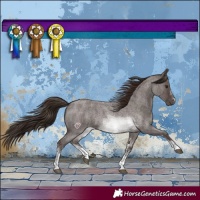 Horse Color:Liver Red Roan Sabino