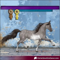 Horse Color:Liver Red Roan Sabino 