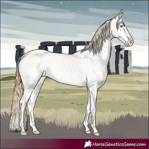 Horse Color:White Spotted Buckskin Pearl Splash Appaloosa 