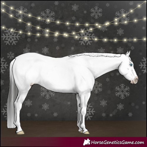 Horse Color:Liver Chestnut Frame 