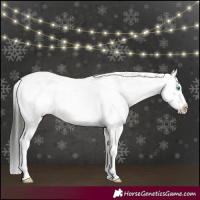 Horse Color:Liver Chestnut Frame 