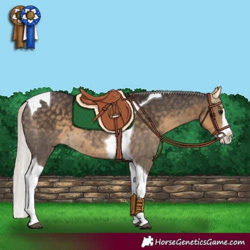 Horse Color:White Spotted Silver Smoky Black Splash Tobiano 