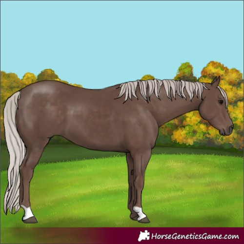 Horse Color:Silver Black 