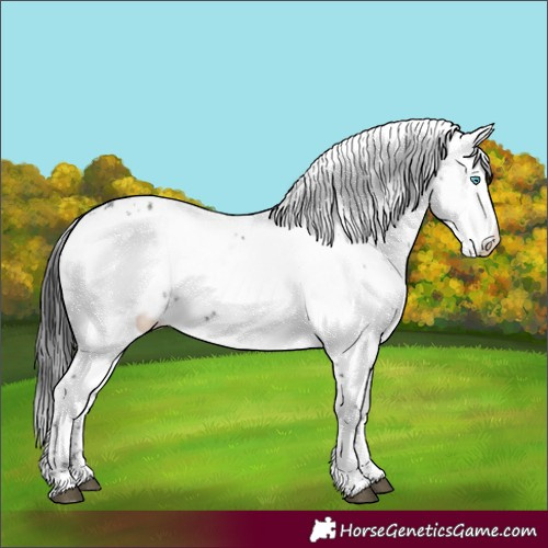 Horse Color:Black Frame 