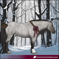 Horse Color:Smoky Grullo Roan 