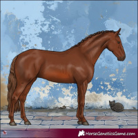 Horse Color:Chestnut 