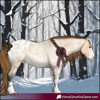 Horse Color:Buckskin Roan Dun Sabino Appaloosa