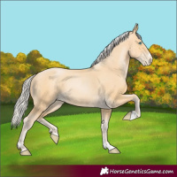 Horse Color:Silver Buckskin Pearl 