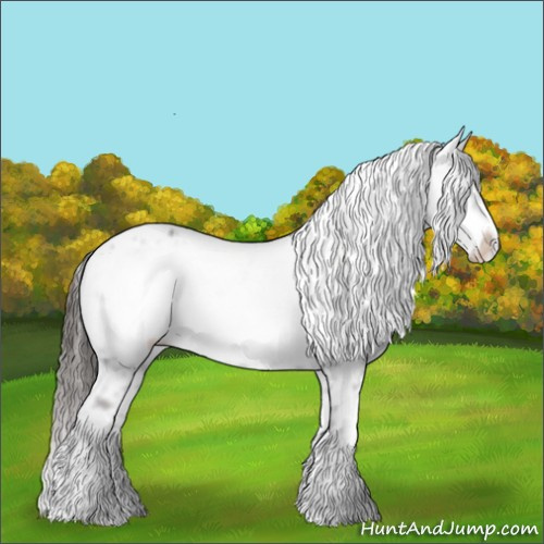 Horse Color:Liver Chestnut Frame Appaloosa 
