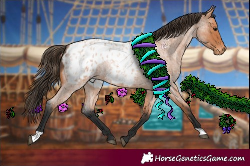 Horse Color:Bay Roan Appaloosa Rabicano 