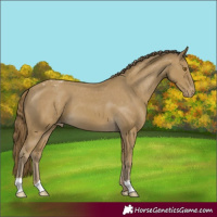Horse Color:Classic Cream Champagne Varnish 