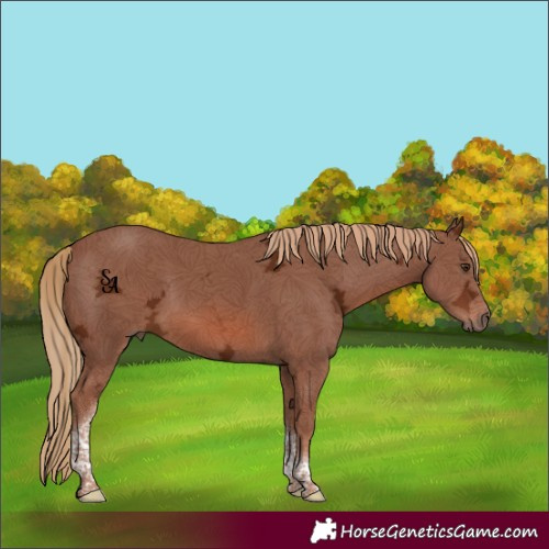 Horse Color:Chestnut Ice Tobiano 