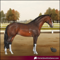 Horse Color:Brown 
