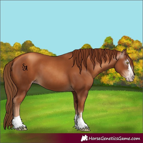 Horse Color:Gray Gold Champagne 