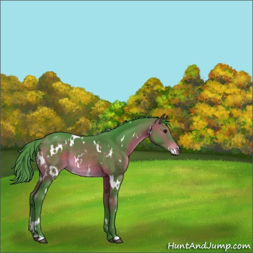 Horse Color:Watercolor White Spotted Bay Rabicano 