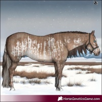 Horse Color:Silver Bay Dun Sabino Frame Rabicano  and Liver Red Dun Sabino Rabicano 