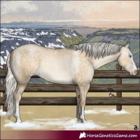 Horse Color:Silver Buckskin Pearl Dun Sabino Tobiano Rabicano