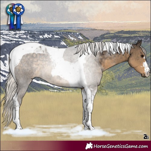 Horse Color:Silver Smoky Black Tobiano 
