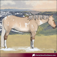 Horse Color:White Spotted Silver Bay Dun Tobiano Rabicano 