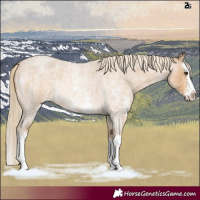 Horse Color:Palomino Roan Sabino Splash Rabicano 