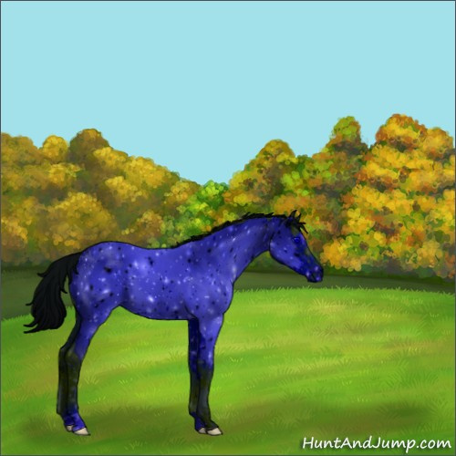Horse Color:ERROR: UNKNOWN ANOMALY