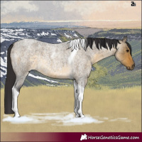 Horse Color:Buckskin Roan Dun Tobiano Rabicano 
