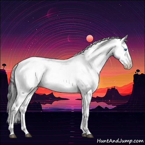 Horse Color:Black Frame